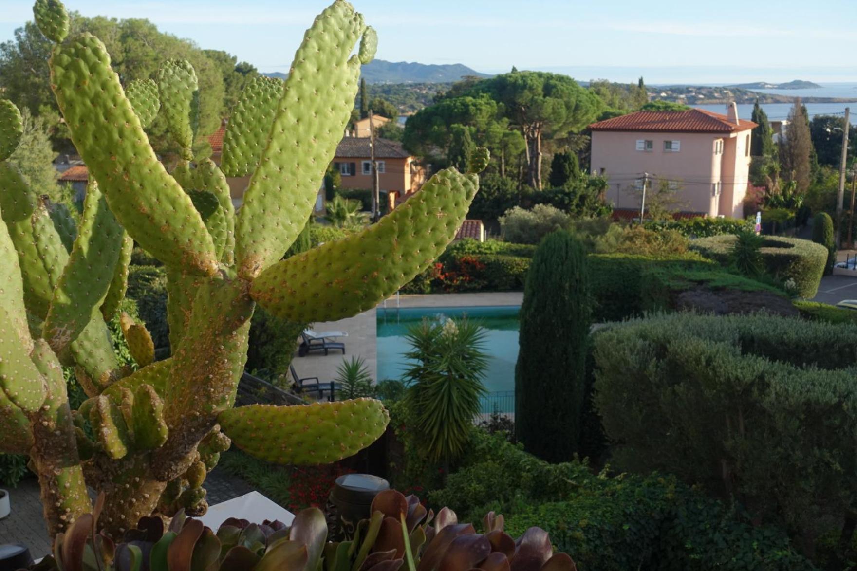 Les Jardins De Bandol, Piscine Privee, Belle Vue Mer Exteriér fotografie